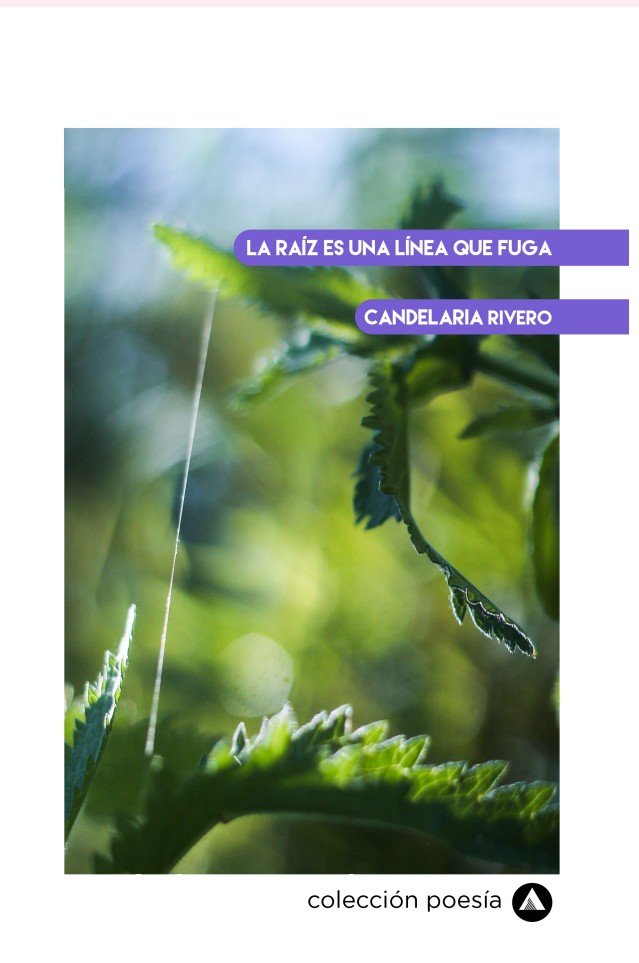 La raíz es una línea que fuga - Candelaria Rivero